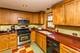 10812 Andrea, Orland Park, IL 60467