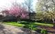 2089 Old Willow, Northfield, IL 60093