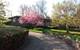 2089 Old Willow, Northfield, IL 60093