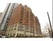 1250 S Indiana Unit 1303, Chicago, IL 60605