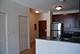 8 E 9th Unit 1605, Chicago, IL 60605