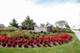 2060 Bristol Park, New Lenox, IL 60451