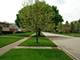 1709 Rusty, Mount Prospect, IL 60056