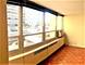 3950 N Lake Shore Unit 220D, Chicago, IL 60613