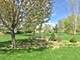 1507 Savannah, Woodstock, IL 60098