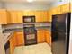 410 W Mahogany Unit 407, Palatine, IL 60067