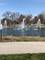 1204 Burlington, Lisle, IL 60532