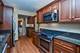 1008 E Mayfair, Arlington Heights, IL 60004