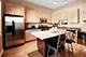 1025 W Buena Unit 1E, Chicago, IL 60613