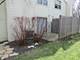 1004 N Knollwood, Palatine, IL 60067