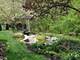 35 Rock River, Naperville, IL 60565