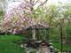35 Rock River, Naperville, IL 60565