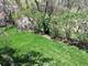 2002 Ravine, Gurnee, IL 60031