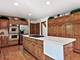 4214 White Birch, Lisle, IL 60532