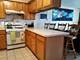 1315 W 31st Unit C, Chicago, IL 60608