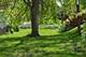 3908 Sumac, Island Lake, IL 60042