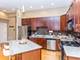 1801 W Thomas Unit PH-3W, Chicago, IL 60622