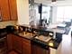 1901 S Calumet Unit 1306, Chicago, IL 60616