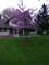 1016 Norwood, Bartlett, IL 60103