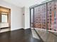 4 E Elm Unit 6S, Chicago, IL 60611