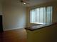 1342 S Wabash Unit A, Chicago, IL 60605