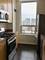 330 W Grand Unit 1506, Chicago, IL 60654