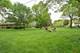 1011 Sherwood, Prospect Heights, IL 60070