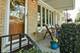 307 S Forrest, Arlington Heights, IL 60004