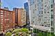 57 E Delaware Unit 3005, Chicago, IL 60611