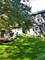 460 Sunnyside, Gurnee, IL 60031