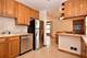 5005 N Neva, Chicago, IL 60656