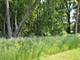 LOT 4 S Bowgren, Elburn, IL 60119