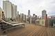 1150 N Lake Shore Unit 10G, Chicago, IL 60611