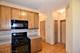 3011 Langston Unit 3011, St. Charles, IL 60175