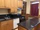 2506 N Orchard Unit 2, Chicago, IL 60614