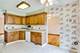 1409 S Busse, Mount Prospect, IL 60056