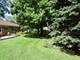 716 Wehrli, Naperville, IL 60540