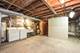 3841 S Wood, Chicago, IL 60609