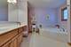 2341 Bluestone Bay, New Lenox, IL 60451