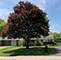 4030 Elm, Downers Grove, IL 60515