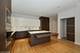 198 N Park Unit 198, Chicago, IL 60601