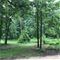 Lot 3 Woodland, Aurora, IL 60505