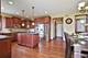 21310 Foxtail, Mokena, IL 60448