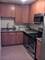 1644 W 21st Unit G, Chicago, IL 60608