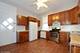 1619 W Grace Unit 2, Chicago, IL 60613