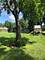 823 E Richardson, Farmer City, IL 61842