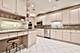 123 W Oak Unit L, Chicago, IL 60610