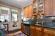 2237 W Addison, Chicago, IL 60618