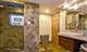 2237 W Addison, Chicago, IL 60618