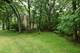 141 E Forest, Palatine, IL 60067